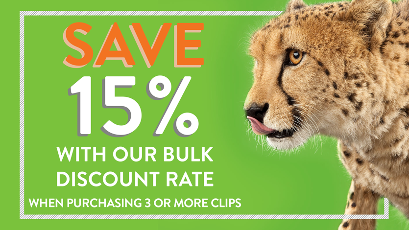 Bulk Discount ER v2 - Enjoy 15% Off With Our Bulk Discount Rates