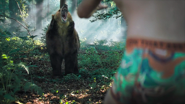 onthatass bear still - Underwear and Grizzly Bears: A New Ad Featuring GSA Footage