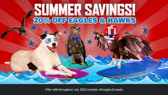4th of July Sales: 20% OFF EAGLES & HAWKS