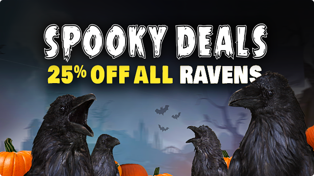 HALLOWEEN SALES: 25% OFF RAVENS